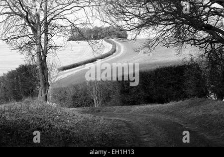 Die Shabd Weg weit weg in der Nähe von Fring in Norfolk. Stockfoto