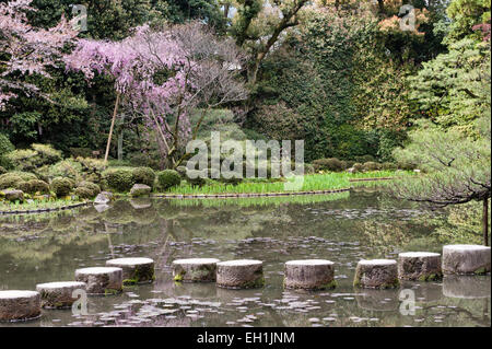 Trittsteine über einen Teich im japanischen Garten Stockfoto, Bild