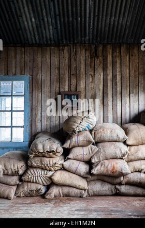 Kolukkumalai Tee-Fabrik, in der Nähe von Munnar Kerala Stockfoto