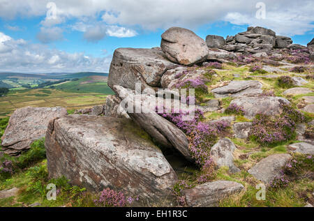 Über Owler Tor im Peak District an einem Sommertag. Heidekraut blühen um die Gritstone Felsen. Stockfoto