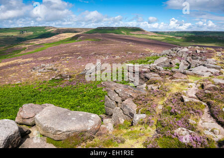 Gritstone Felsen auf über Owler Tor mit Blick auf Higger Tor an einem sonnigen Sommertag im Peak DIstrict, Derbyshire. Stockfoto