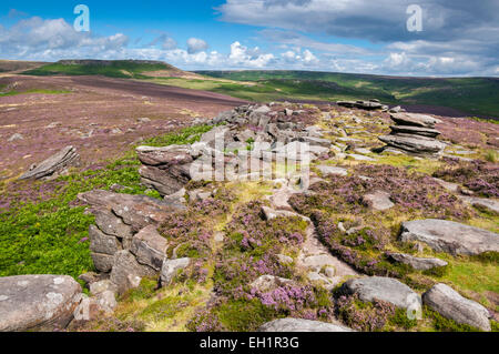 Gritstone Felsen auf über Owler Tor mit Blick auf Higger Tor an einem sonnigen Sommertag im Peak DIstrict, Derbyshire. Stockfoto
