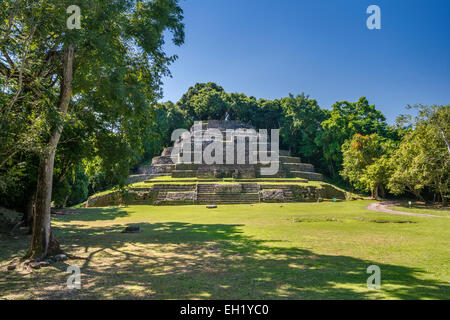 Jaguar-Tempel, gesehen in Plaza, Lamanai, Maya-Ruinen, Regenwald in der Nähe von Indian Kirche Dorf, Orange Walk District, Belize Stockfoto