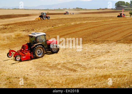 Ausstellung von neuen Traktoren in eine Landwirtschaftsmesse in Agro Pontino, Lazio, Mittelitalien. Stockfoto