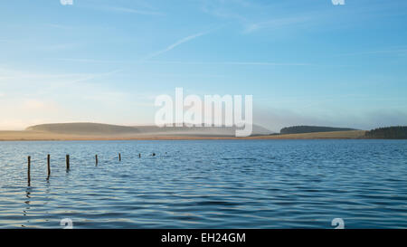 Überlaufen Reservoir am frühen Morgen des Bodmin moor Stockfoto