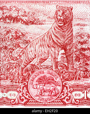 Bengal Tiger von 2 Rupien-Banknote, Indien, 1985 Stockfoto