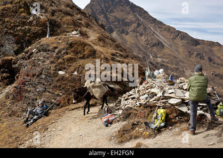 BHUTAN - Trekker und Packpferde treffen am Gipfel 4520 m Takhung La (Pass), den zweiten höchsten Pass auf der Jhomolhari 2 Trek. Stockfoto