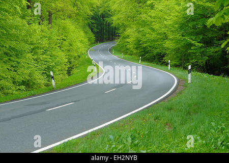 Straße durch Wald, Spessart, Bayern, Deutschland Stockfoto