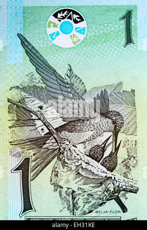 Weiß-necked Jakobiner (Florisuga Mellivora) von 1 echte Banknote, Brasilien, 1997 Stockfoto