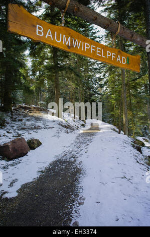 Baumwipfelpfad Baumkrone Weg Bad Wildbad nördlichen Schwarzwald Baden-Württemberg Deutschland Stockfoto