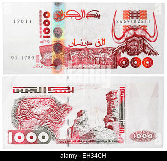 1000 Dinar Banknote, Antelope Kopf, Algerien, 1996 Stockfoto