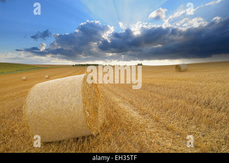 Stroh rollt auf Stubblefield und regen Wolken, Hessen, Deutschland, Europa Stockfoto