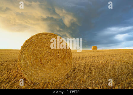 Stroh rollt auf Stubblefield und regen Wolken, Hessen, Deutschland, Europa Stockfoto