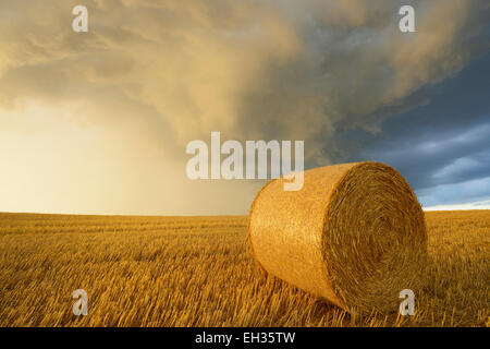 Stroh rollt auf Stubblefield und regen Wolken, Hessen, Deutschland, Europa Stockfoto