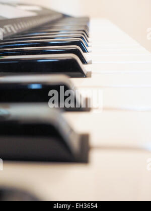 Detail der schwarzen und weißen Tasten auf Musiktastatur Stockfoto