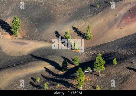 Schatten der Kiefern überqueren den gemalten Dünen, die durch Oxidation von Schlacken und Asche, gesehen von der Felge o gefärbt sind wegweisende Stockfoto