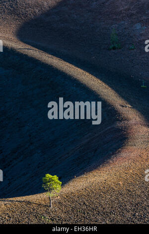 Am Rand der vulkanischer Schlackenkegel auf dem Cinder Cone Trail im Lassen Volcanic National Park, Kalifornien, USA Stockfoto