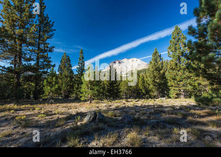 Lassen Peak gesehen von einer Bergwiese in Lassen Volcanic Nationalpark, Kalifornien, USA Stockfoto