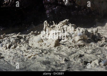 Kochend heiße Mudpot im Bereich historische Schwefel Werke in Lassen Volcanic Nationalpark, Kalifornien, USA Stockfoto