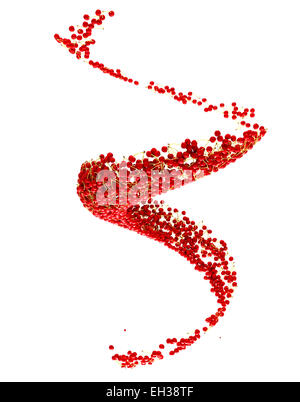 Obst-Ernte: rote Kirsche Fluss isoliert auf weißem Hintergrund Stockfoto