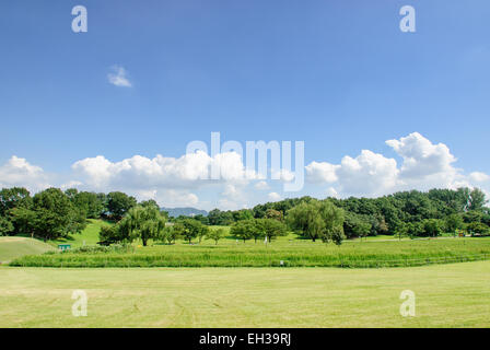 Blick auf Seoul Olympic Park an einem sonnigen Tag Stockfoto