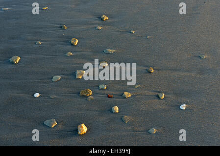 Kleinen Steinen und Kieseln verstreut am Strand, Helgoland, Deutschland Stockfoto