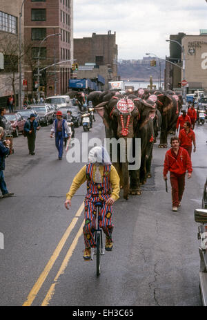 Ringling Brothers Barnum und Bailey Circus Parade durch die Innenstadt von Manhattan Stockfoto