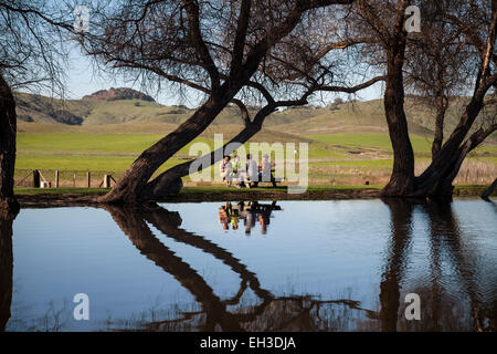 Freunde, die Spaß beim Picknick am Teich von der Käserei, Petaluma, Kalifornien, USA Stockfoto