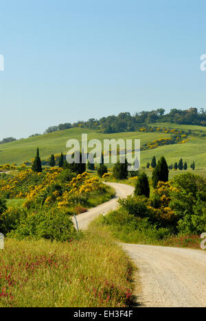 Kurvenreiche Schotterstraße Land durch Landschaft, Toskana, Italien Stockfoto