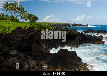 Küste im Waianapanapa State Park, Maui, Hawaii Stockfoto