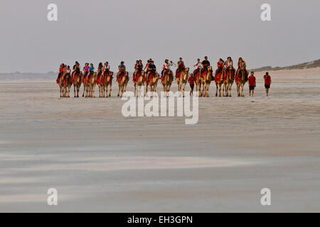 Kamel-Abenteuer, Cable Beach, Broome, Australien Stockfoto