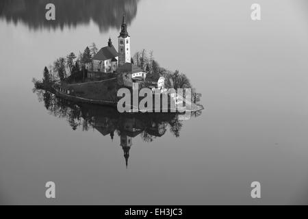 Bleder See. Schwarz / weiß Bild der See von Bled mit St. Marys Church Mariä Himmelfahrt auf der kleinen Insel. Bled, Slowenien, Europa Stockfoto