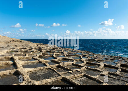 Sandstein-Formationen an der Küste, Meer Salzgewinnung in den Salinen, Xlendi, Gozo, Malta Stockfoto