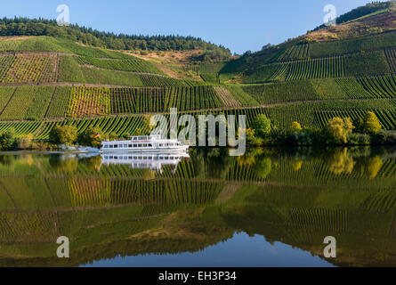 Streaming-Mossele in Deutschland mit Boot und Weinberge im Herbst. Stockfoto