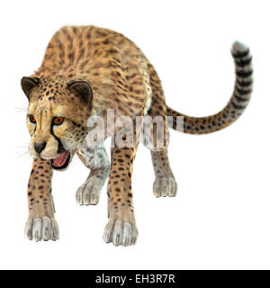 Digitale 3D Rendern von einer Raubkatze Gepard isoliert auf weißem Hintergrund Stockfoto