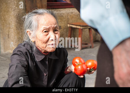 Ältere Tomaten Verkäuferin mit Tomaten zum Verkauf, das Verkaufen in der Altstadt von Hanoi, Hanoi, Vietnam Vietnam, alte, reife, Ältere, Vietnamesisch, Frau, Stockfoto