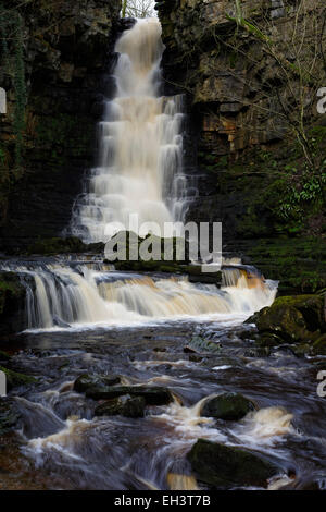 Cascading Winter Wasser Gill Abtrieb Mühle in der Nähe von Askrigg, Wensleydale, North Yorkshire, England, UK Stockfoto