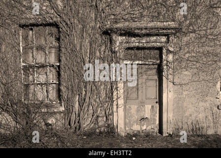 Vegetation und Efeu wächst über leeren Saal in der Nähe von Leeds Yorkshire uk Stockfoto