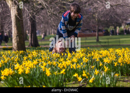 London, 6. März 2015. Londoner und Touristen genießen die warme Sonnenstrahlen im St James Park als Narzissen blühen, läutet den Ansatz des Frühlings. Bild: Rowan, 9, und seine Schwester Stella unter den Narzissen zu spielen. © Paul Davey/Alamy Live-Nachrichten Stockfoto