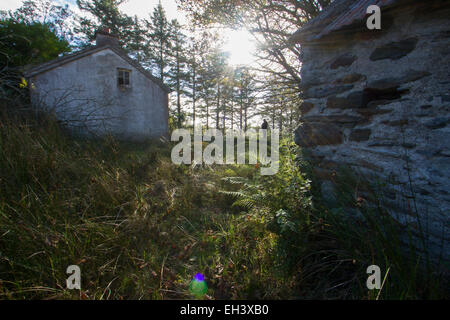 Teil von einem alten verlassenen Haus in Irland Stockfoto