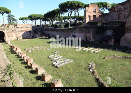 Italien. Rom. Palatin-Hügel. Domitian Palast Komplex. Stadion. Die Ruinen. Stockfoto