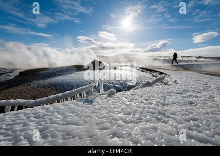 Island, Nordurland Vestra Region, Hveravellir, Fumarole auf eine Konkretisierung der Geyserite von Eis bedeckt Stockfoto