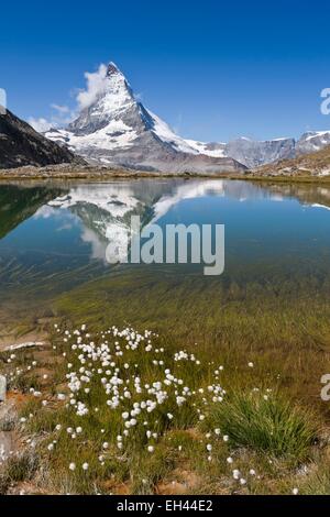 Schweiz, Kanton Wallis, Zermatt, das Matterhorn (4478m) vom See Riffelsee Stockfoto