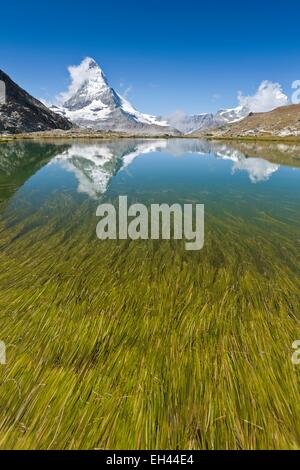 Schweiz, Kanton Wallis, Zermatt, das Matterhorn (4478m) vom See Riffelsee Stockfoto