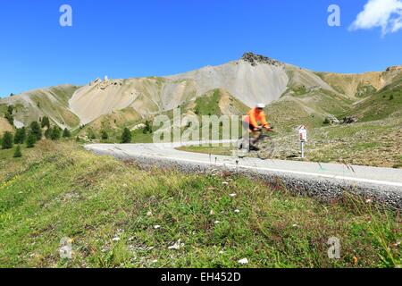 Frankreich, Hautes Alpes, Regionalpark von Queyras, Col d ' Izoard 2360 m, auf der Straße von Cervieres Stockfoto