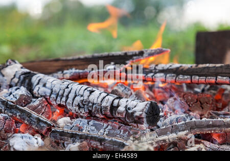 Nahaufnahme von heiß brennendes Feuerholz im Lagerfeuer Stockfoto