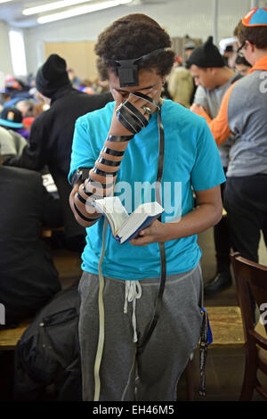 Jüdische Jugendliche beten tragen Gebetsriemen an eine gadol bei Ohel in Cambria Heights, Queens, New York City. Stockfoto