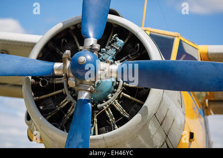 Propeller und Flugzeuge Motor Nahaufnahme. Ansicht von vorne. Geringe Schärfentiefe. Stockfoto