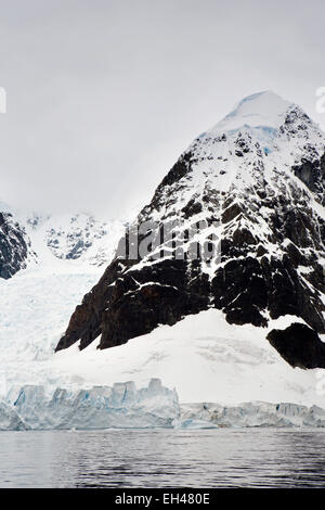 Antarktis, Paradise Bay, Ende der Gletscher Kalben ins Meer unter Schnee verkleidet Berg Stockfoto