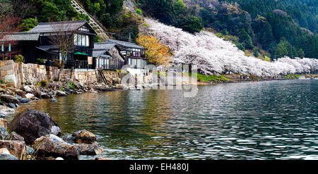 Shiga Präfektur Makino Takashima-Cho Kaizu gelegene Riff-Bereich, der in Lake Biwa Kaizu Osaki (Kaizu Osaki) ragt. O Stockfoto